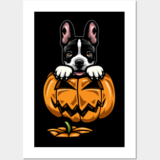 French Bulldog Pumpkin Pumpkin Posters and Art